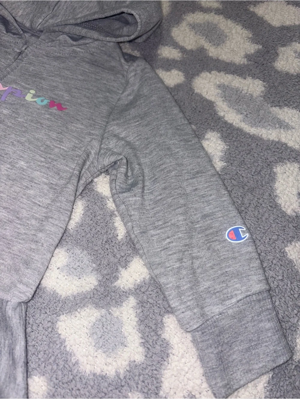 Champion gray zip